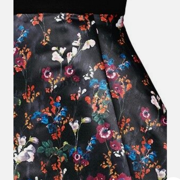 NWT alice + olivia Amie Fall Garden Print Black Long Sleeve Fit Flare Dress Sz 4 - Picture 6 of 14